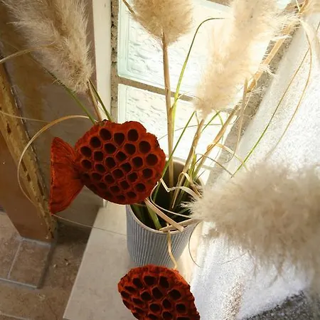 Flores 度假居 Barban